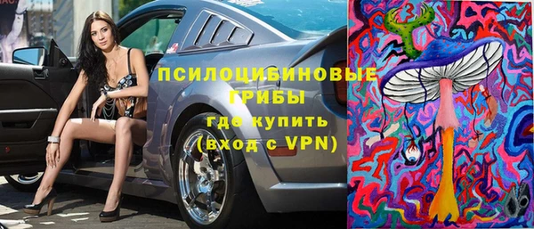 твердый Арсеньев