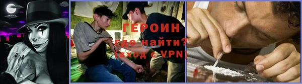 крисы Аркадак