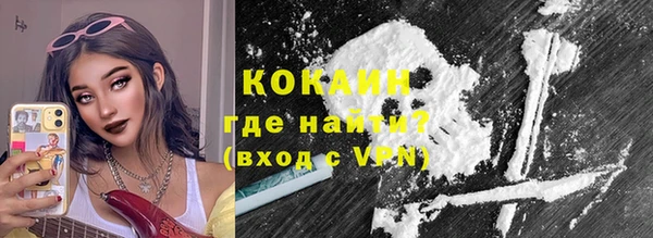 твердый Арсеньев