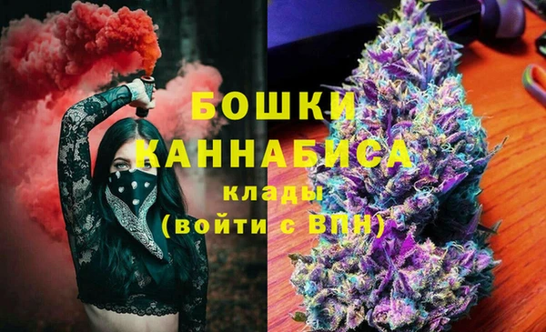 крисы Аркадак