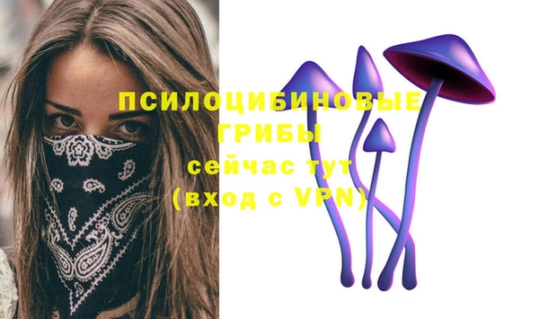 стафф Армянск