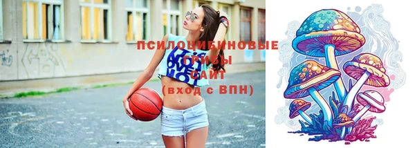 крисы Аркадак
